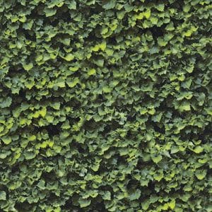 אריח מדוקק פורצלן PADANA 240/120